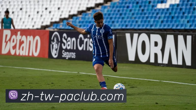 PA直营平台平台生态图