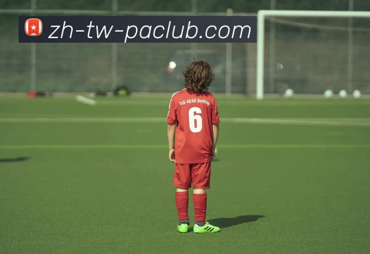 PA直营平台全站App